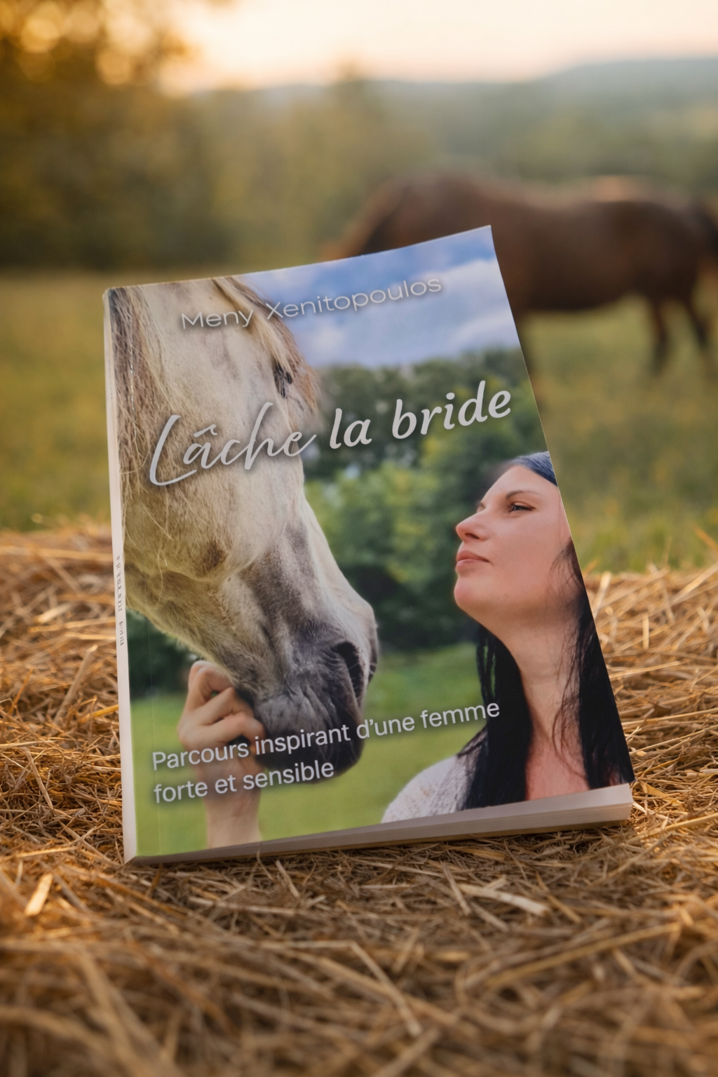 Livre Lâche la bride de Meny